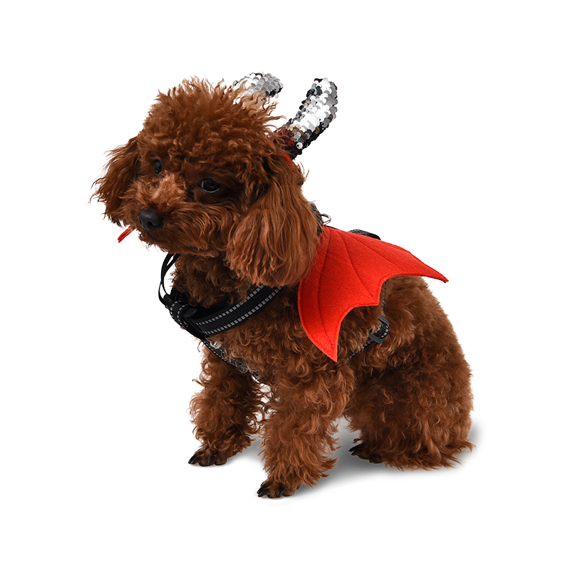 Happy Halloween Fashion Cat Dog Dressing Accessories Demon Wings Wizard Hat Pet Costume Set