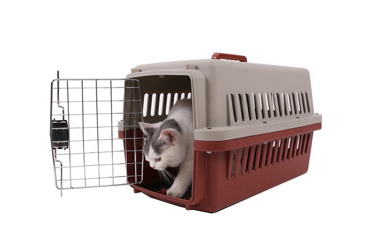 Wholesale Luxury Plastic Fashion Airline Approved Pet Transport Box Cat Cage Dog Travel Carrier