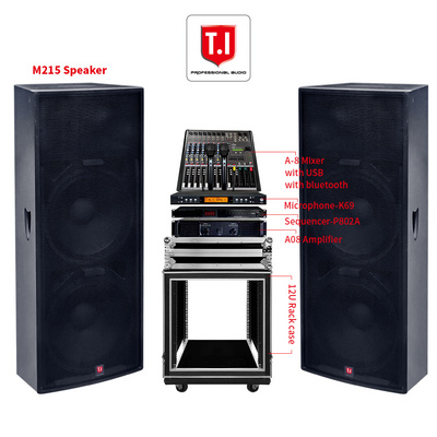 China manufacture empty speaker cabinets full range dual 15 inch sound system speakers pa system