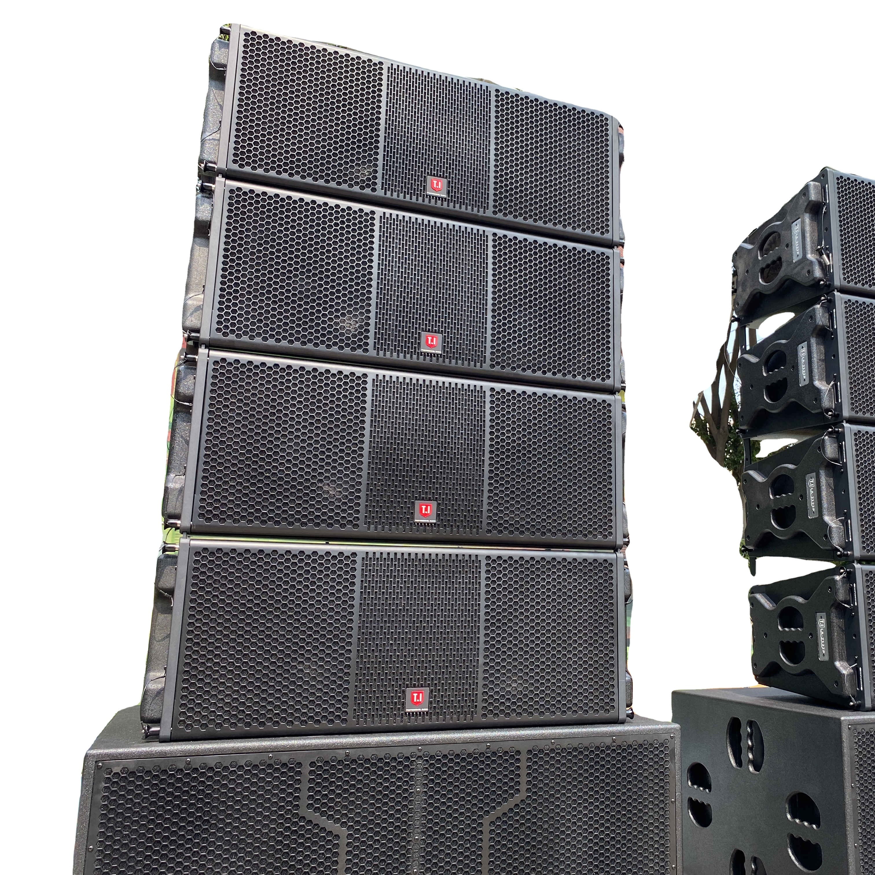 professional lighting designers association DJ  radio  jockey  professional speakers dual 12 inch line array speaker