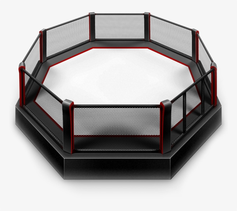 Customized 4m/5m/6m/7m/8m MMA Thai Training Competition BOXING MMA Muay Thai octagon  cage