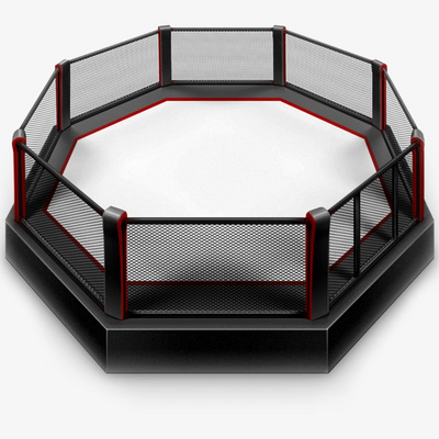 Customized 4m/5m/6m/7m/8m MMA Thai Training Competition BOXING MMA Muay Thai octagon  cage