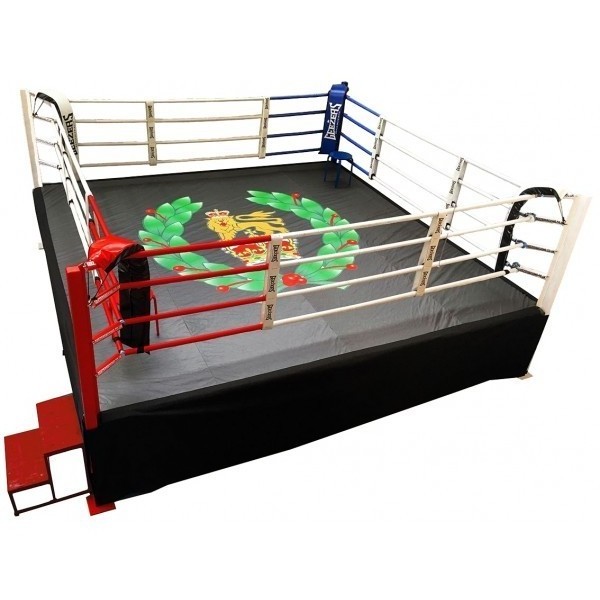 MMA floor competition pro Thai box boxing ring for sale