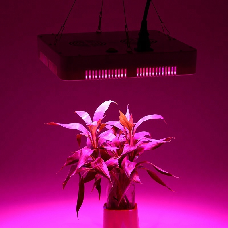 Best selling full spectrum 300w led bulb grow light europe wholesale