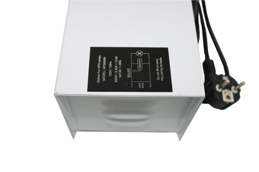 600w Hydroponics HID Magnetic Ballast for Grow Light Indoor Plant Growth