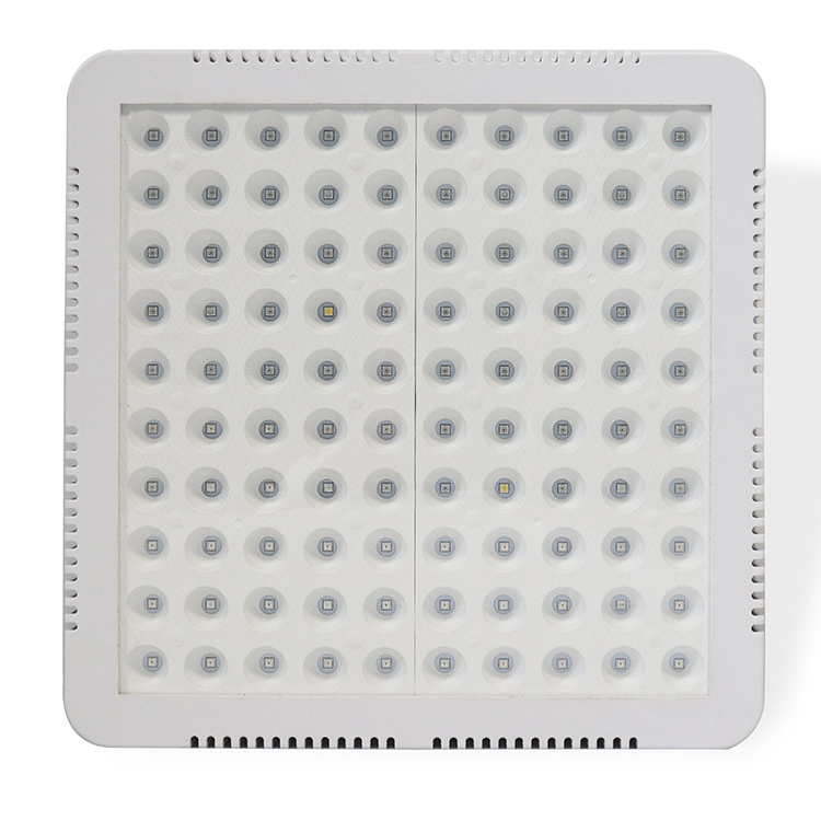 Best selling full spectrum 300w led bulb grow light europe wholesale