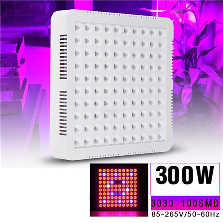 Best selling full spectrum 300w led bulb grow light europe wholesale