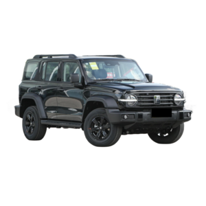 2024 Tank 300 4WD off-road SUV with lock, super off-road Chinese car 2.0T Used new cars suv 4x4