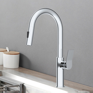 TIEMA  New Design Brass Body Pull-out Kitchen Faucet