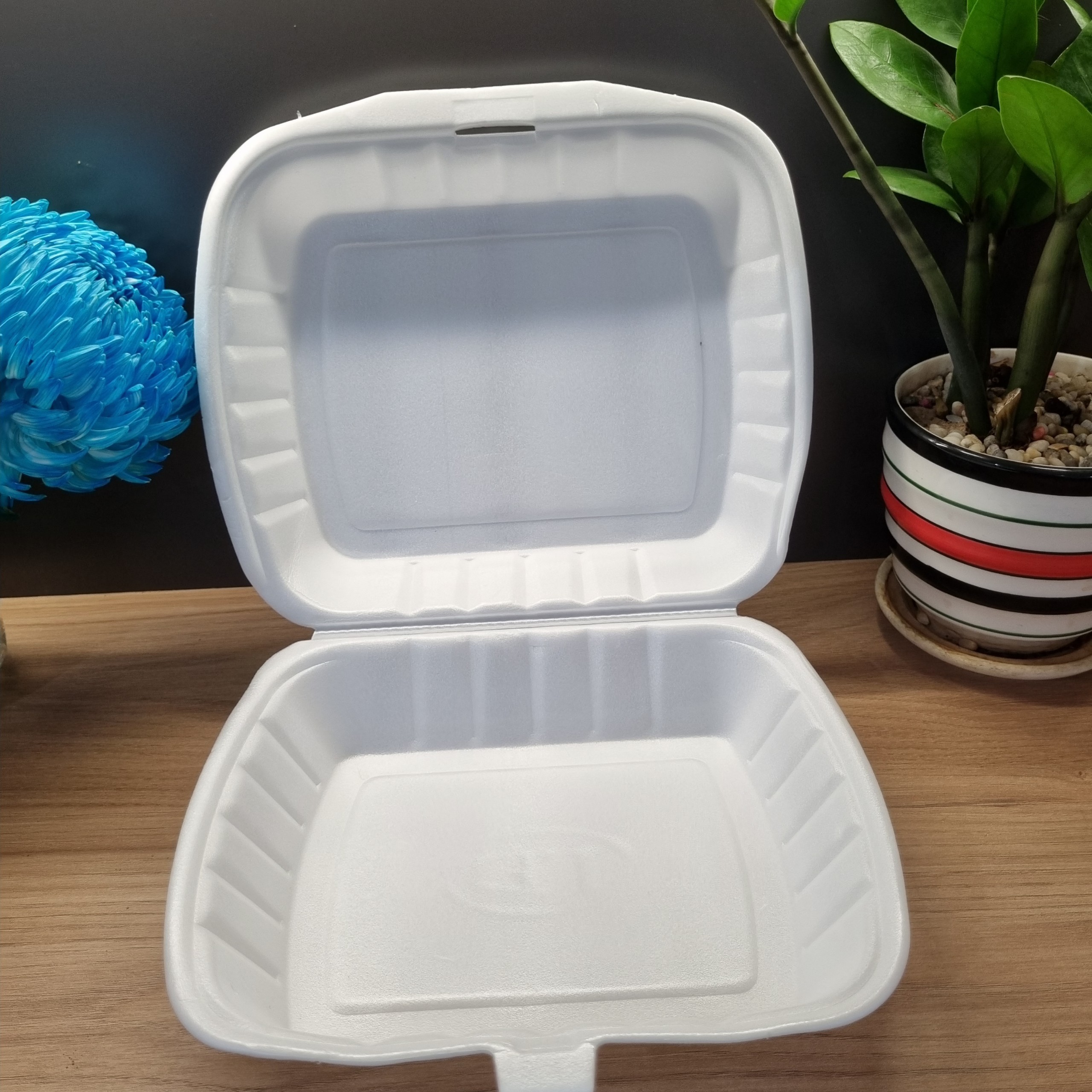 Vietnam factory To go containers food disposable Three compartments PS foam with lid lunch box/fast food/hamburger