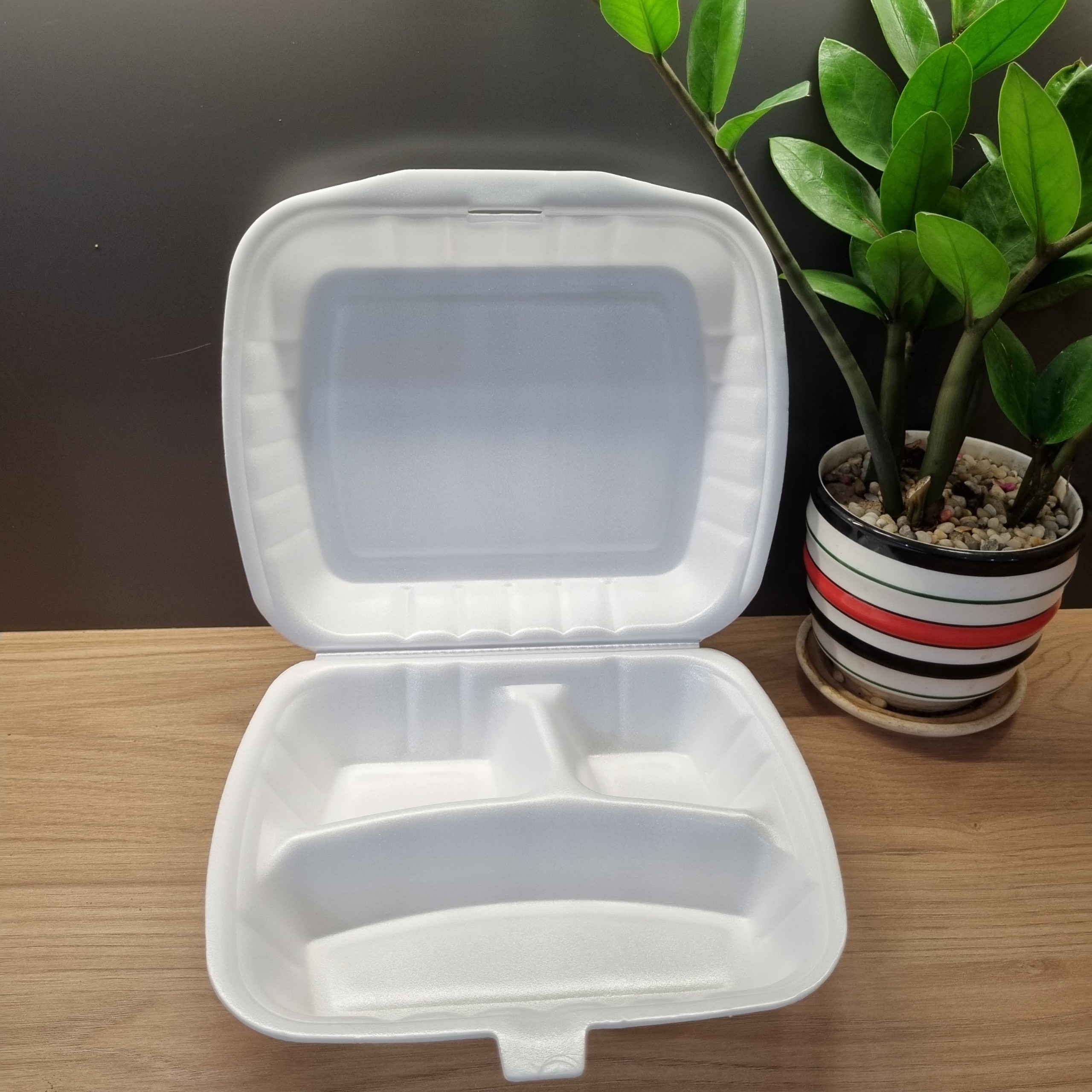 Vietnam factory To go containers food disposable Three compartments PS foam with lid lunch box/fast food/hamburger