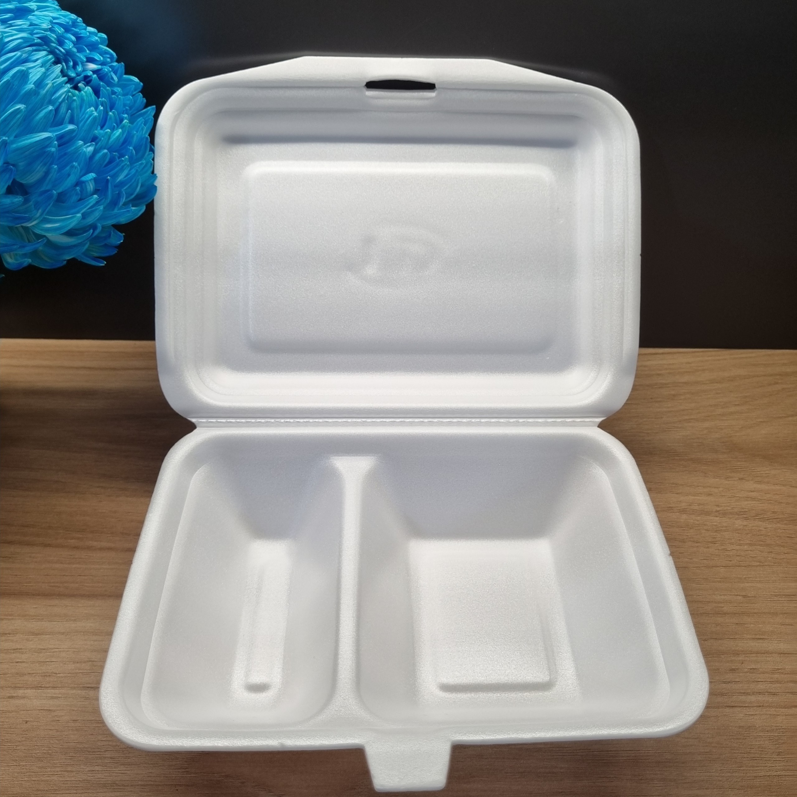 Vietnam factory To go containers food disposable Three compartments PS foam with lid lunch box/fast food/hamburger