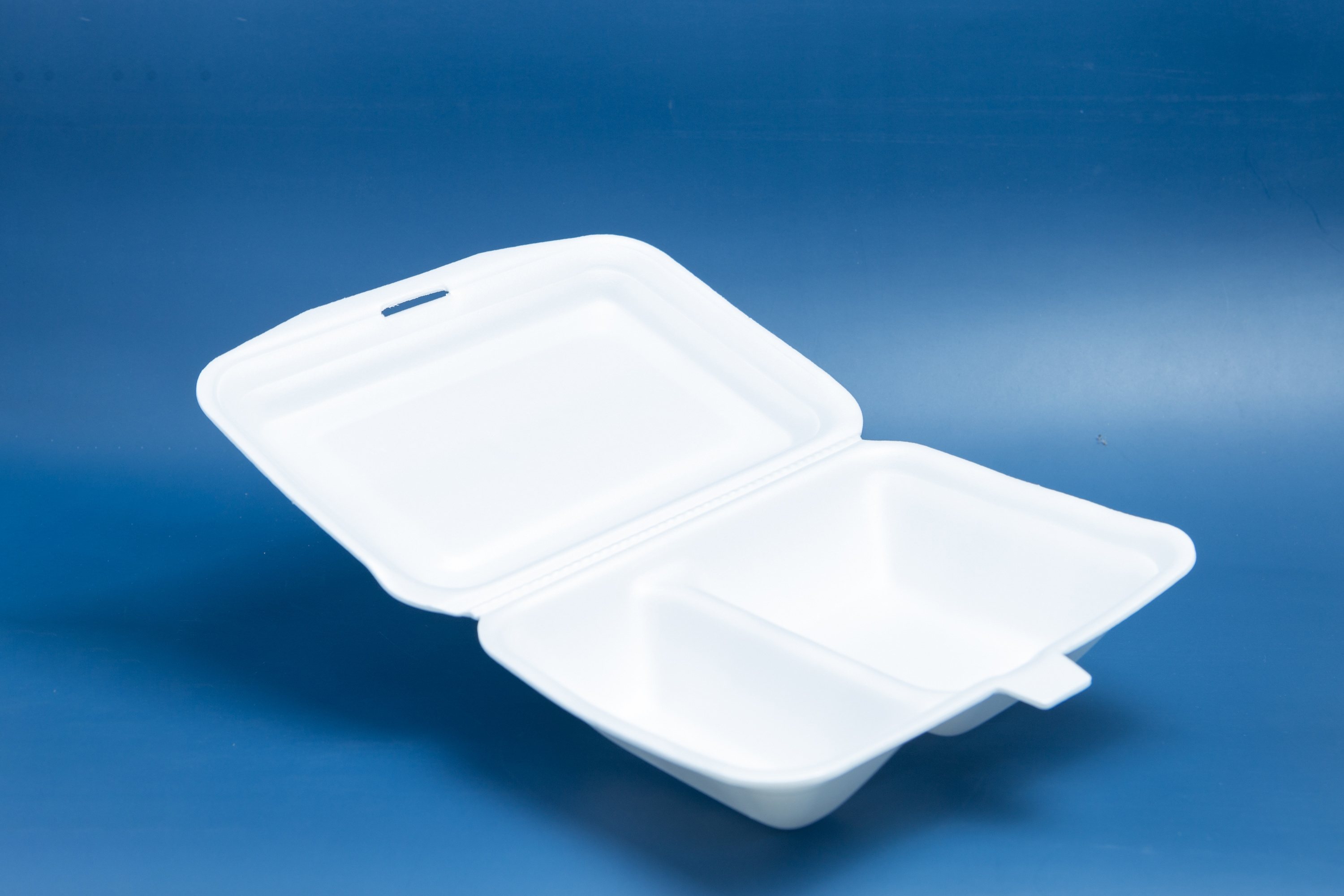 Disposable PS foam food plate/tray/container/box with lid for take away new product ideas 2024 wholesale