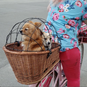 HOT PRICE Wicker basket bicycle carrier cat dog transporter handmade carrier basket pet transporter