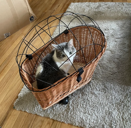 HOT PRICE Wicker basket bicycle carrier cat dog transporter handmade carrier basket pet transporter