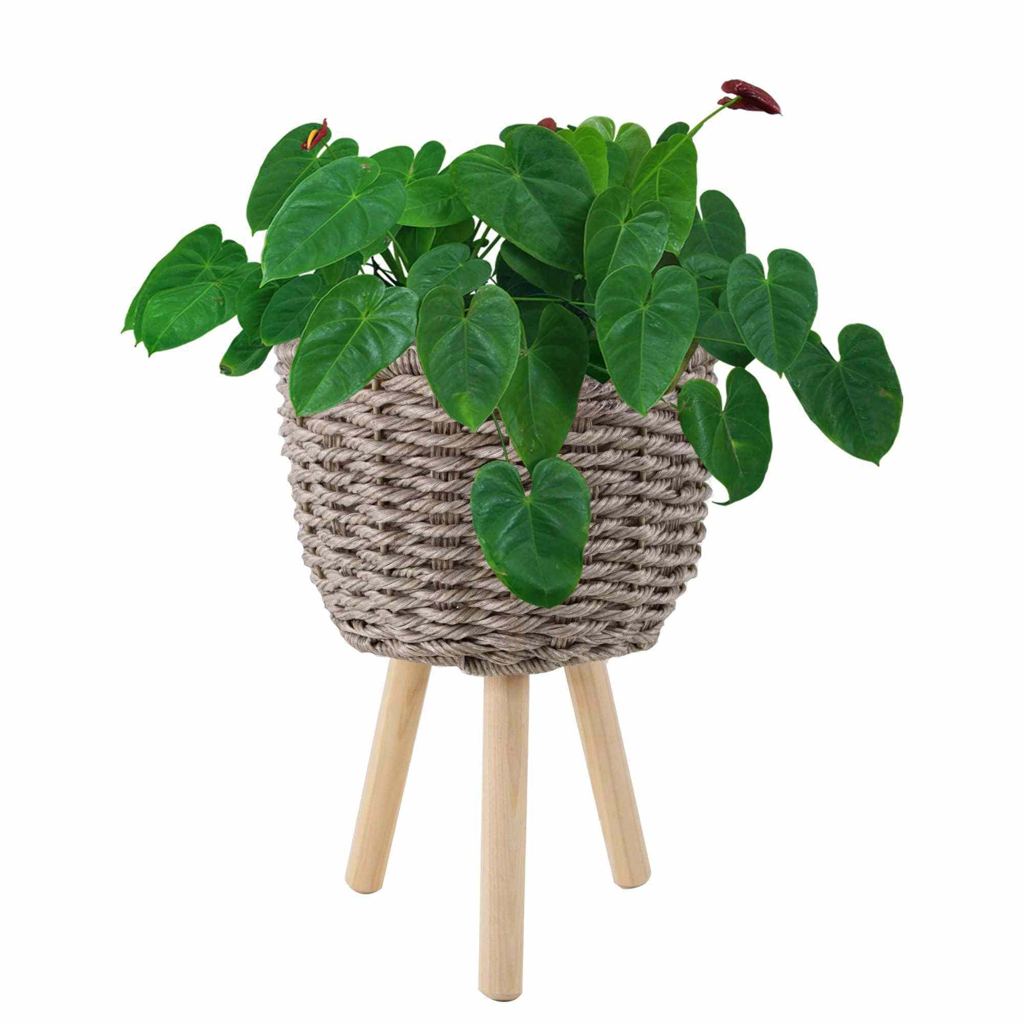 Set Of 2 Beatiful Faux Seagrass Woven Flower Pots Cover , Planter Pot Container - Plant Stand