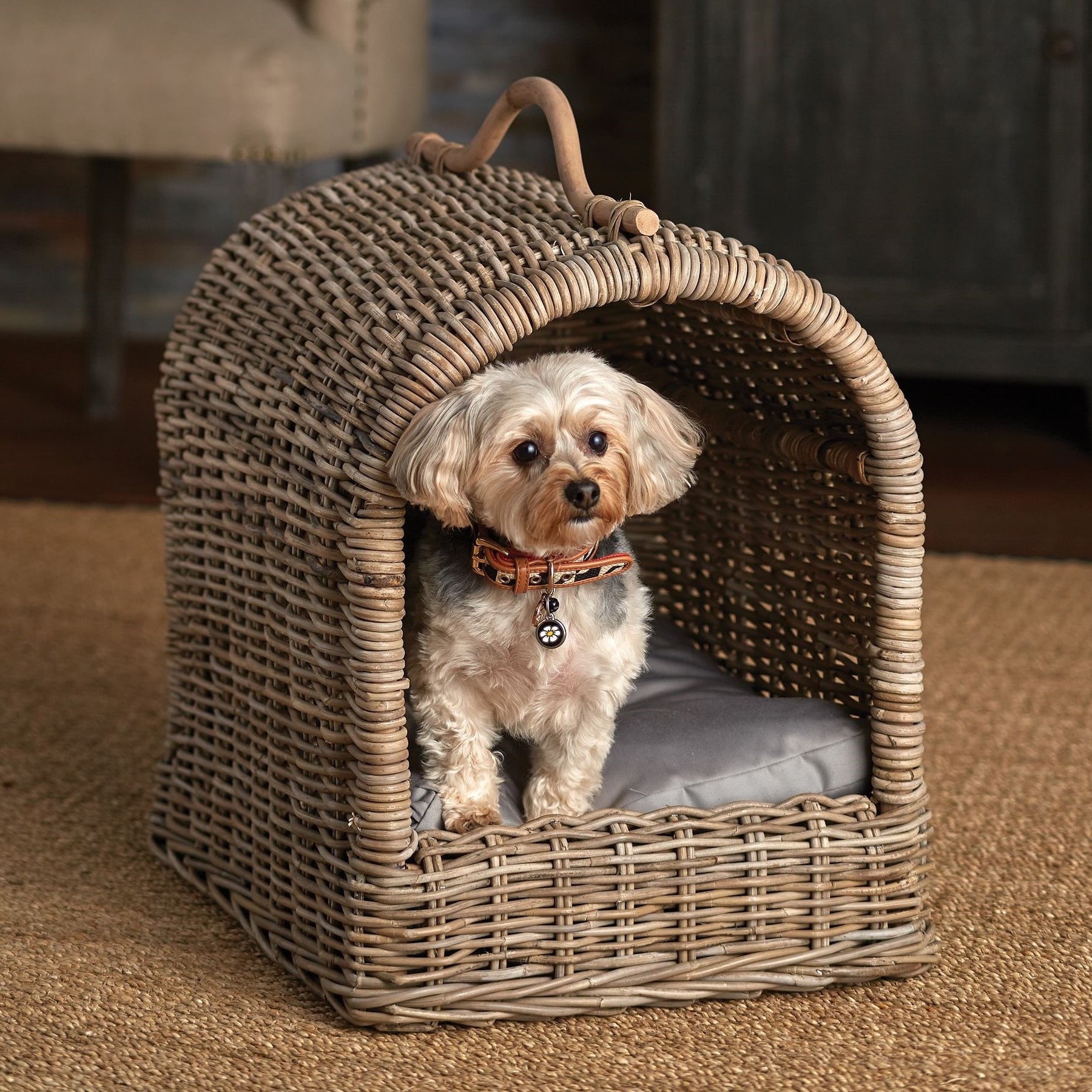 SALE! Wholesale Best Selling 2023 Boho Wicker Handwoven Rattan Canopy Pet Bed for Pet Decor Living Room Indoor