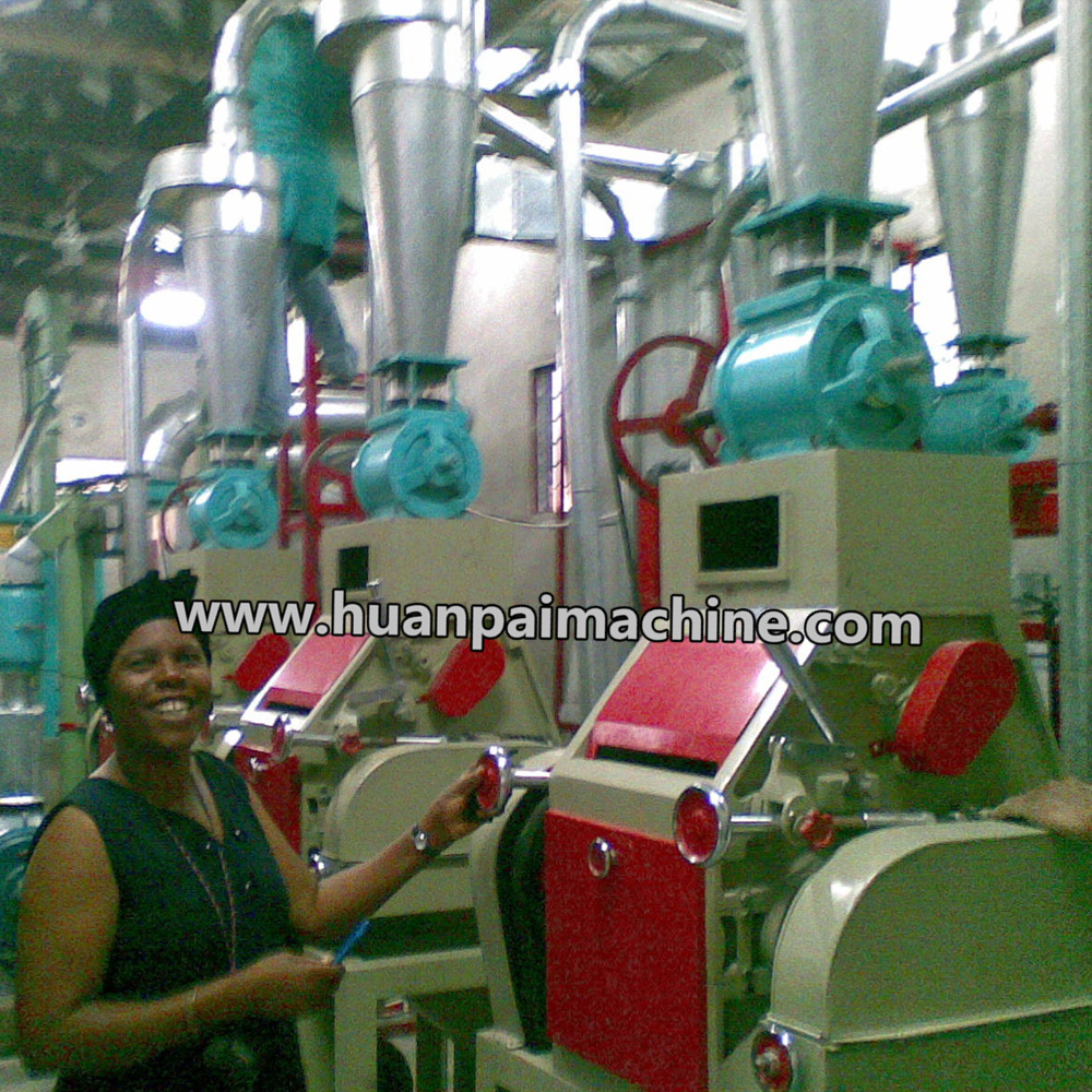 corn flour milling machine of mozambique/10ton small maize flour grinder/maize meal making machines