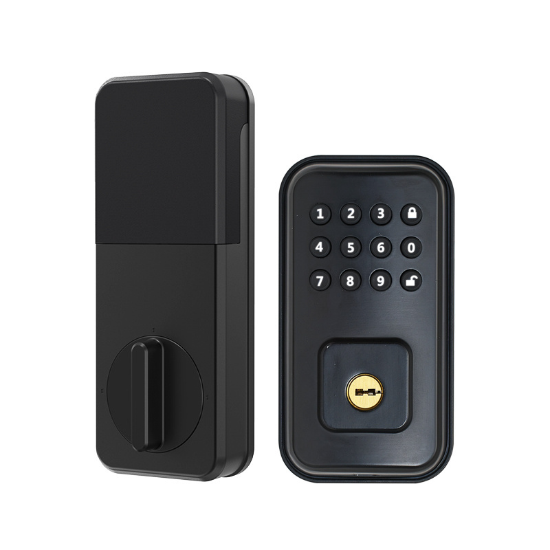 High Security Level Multifunctional Password  Smart Lock for Rental Property Management smart deadbolt lock