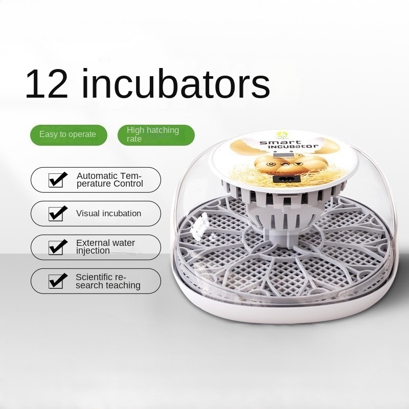 Tigarl Home Use Mini 12 Egg Incubator Hatching with Humidity Display and Candler Fully Automatic