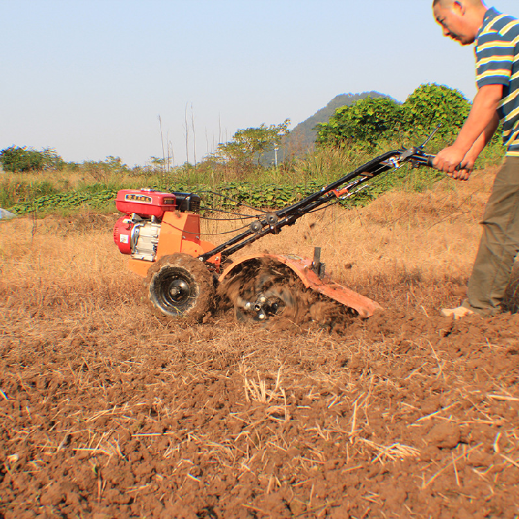 Tigarl DF Series12-22 HP Diesel Powerful FarmEquipment Agricultural Cultivator Rotary Tiller 15 HP Walking Tractor