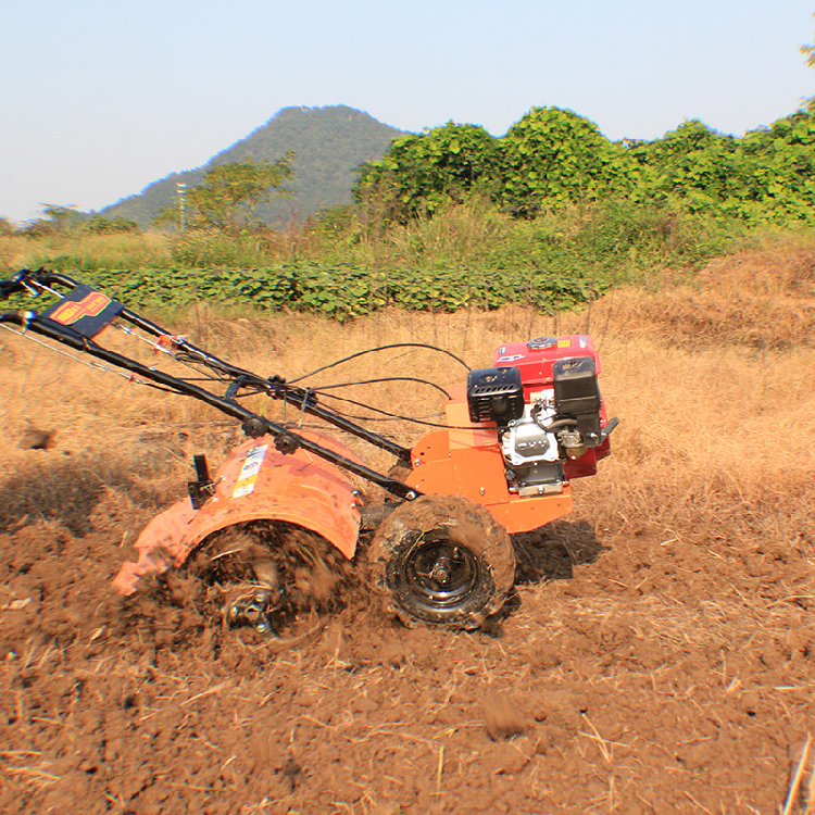 Tigarl DF Series12-22 HP Diesel Powerful FarmEquipment Agricultural Cultivator Rotary Tiller 15 HP Walking Tractor