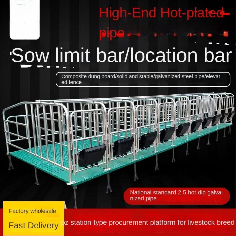 Tigarl Farm Gestation Crate Gestation  Custom Make Pig Farm Stalls Factory Price