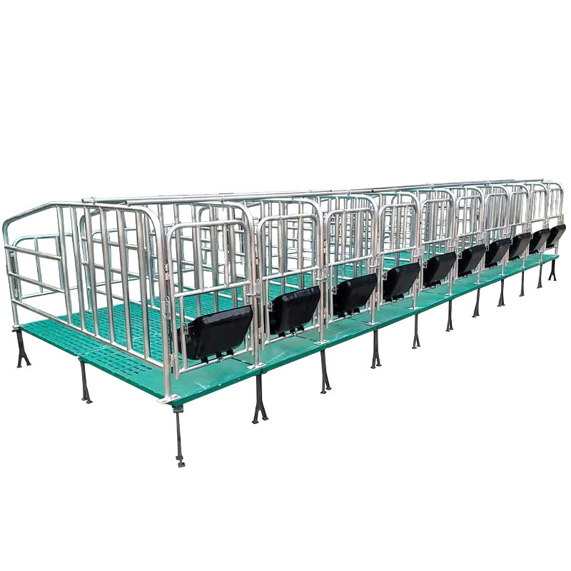 Tigarl Farm Gestation Crate Gestation  Custom Make Pig Farm Stalls Factory Price