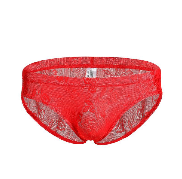 Men's Briefs Lingerie See Through Lace Sexy Underwear Gay Underpants