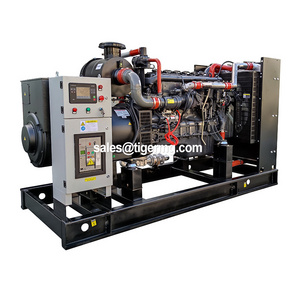 20kw 30kw 50kw 100kw 200kva 200kw 250kw 300kw 1000kva 1mw lpg weichai natural gas engine turbine electric power generators price