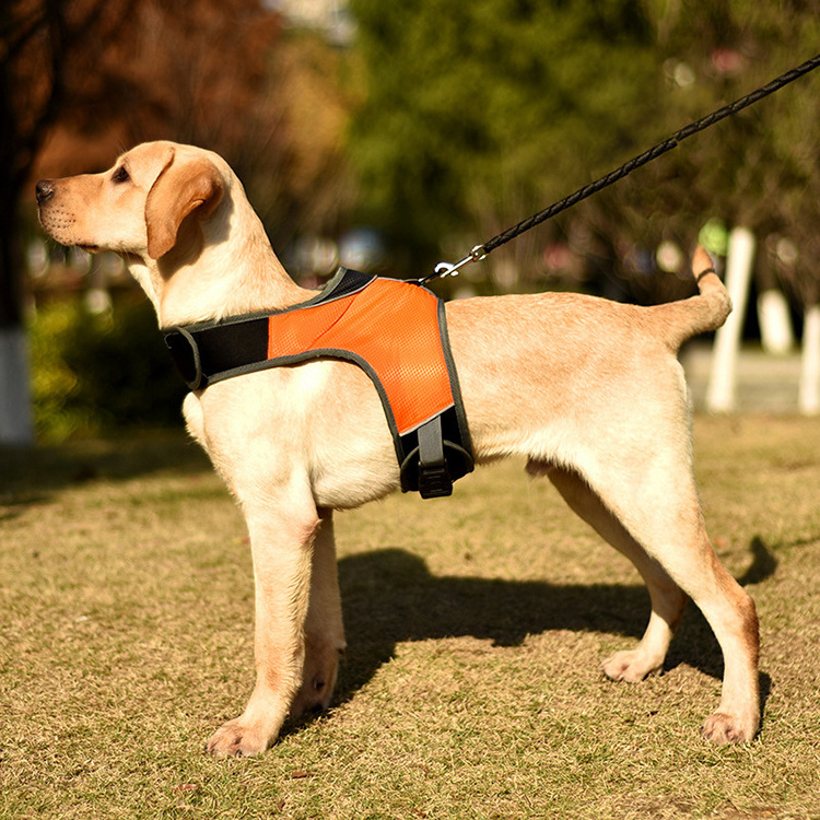 New K-shaped light-emitting LED harness pet dog harness pet supplies for medium and large dogs traveling at night