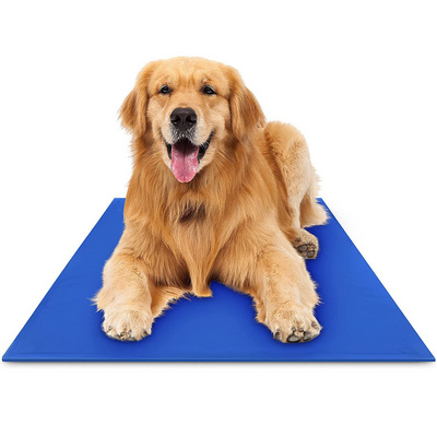 Good Material Hot Selling New Innovation Reusable Summer Sleeping Ice Pad for Pet Cats Dogs Cooling Mat BestSuppliers