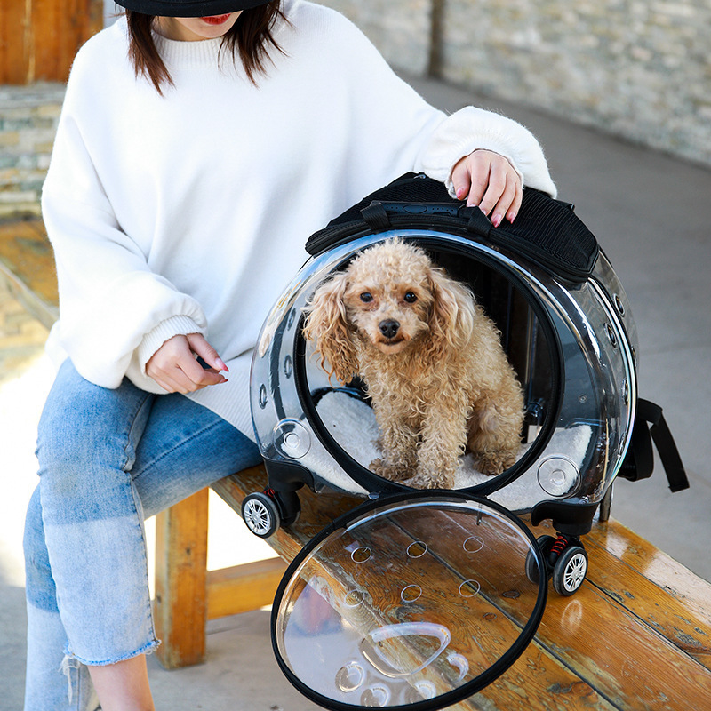 Trolley Backpack Portable Clear View Trolley Dog Cat House Wheeling Suitcase For Pet Travel Transparent Case Pet Carrier