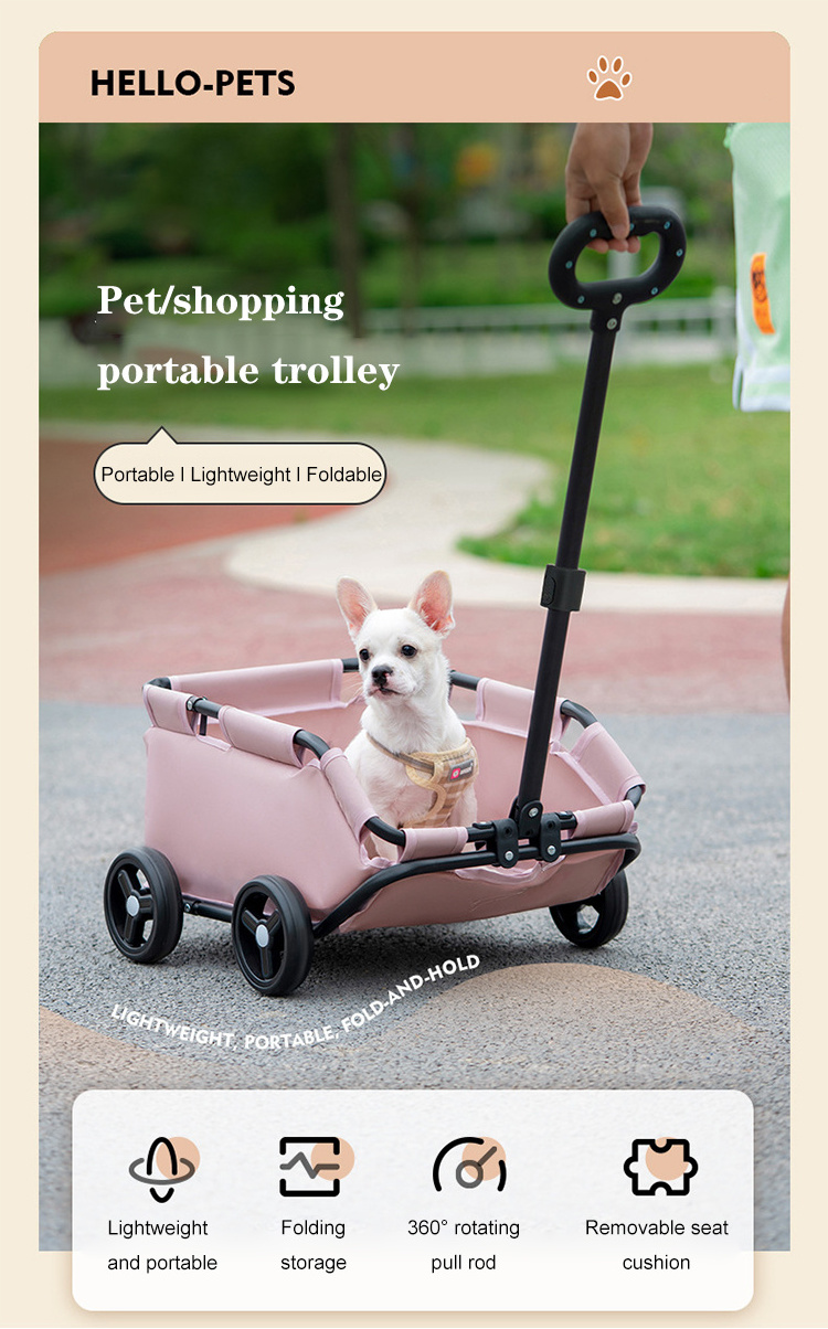 Compact and convenient pet stroller for cats and dogs to go out