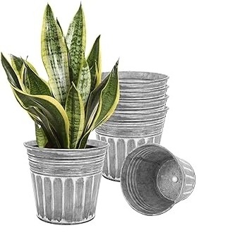 Home Garden Decorative Pot Planter 2023 Trending Galvanized Steel Planters Bucket For Greenery Decent Planters