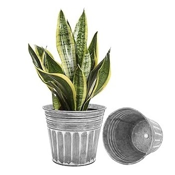 Home Garden Decorative Pot Planter 2023 Trending Galvanized Steel Planters Bucket For Greenery Decent Planters