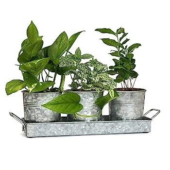 Huge Garden Tubs and Flower Garden Ware Rustic Iron Planters Rounded Galvanized Planters Customized Planter Tub