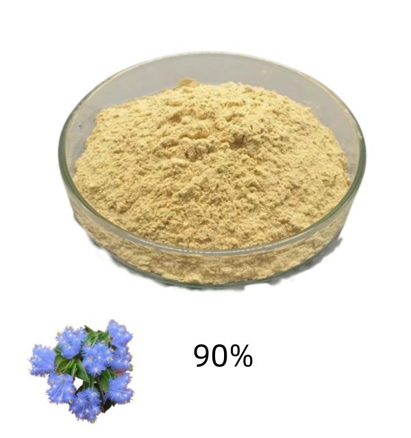 Factory Supply  cyanotis vaga extract beta-ecdysterone 50% 90% 95% 98% HPLC