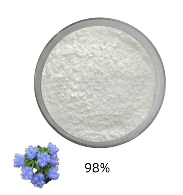 Factory Supply hot sale cyanotis vaga extract beta-ecdysterone  90% 95% hplc capsules