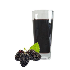 fruit powder High quality mulberry extract fruit concentrate juice and powder