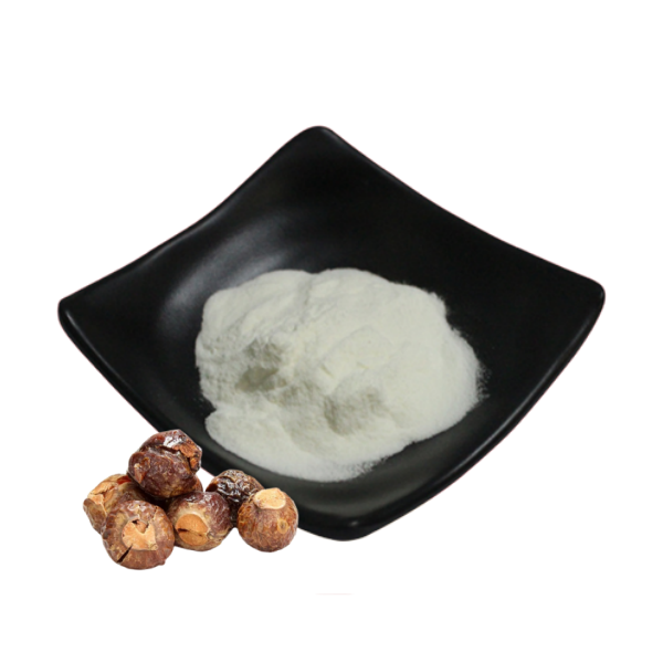 Sapindus Mukurossi Extract Soap Nut Powder Chinese Soapberry Fruit Extract Powder 40%-90% Saponins