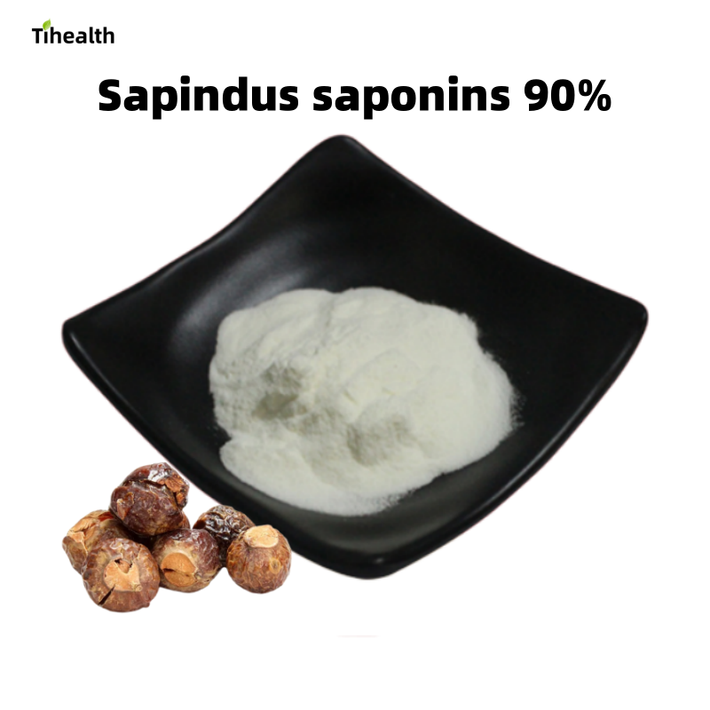 Sapindus Mukurossi Extract Soap Nut Powder Chinese Soapberry Fruit Extract Powder 40%-90% Saponins