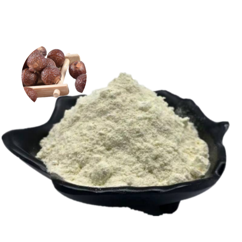 Sapindus Mukurossi Extract Soap Nut Powder Chinese Soapberry Fruit Extract Powder 40%-90% Saponins