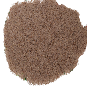 Indian Origin Herb Psyllium Husk Seed  Isabgol  Plantago Ovata Seed  Export Quality Seed For Sowing And Health Purpose