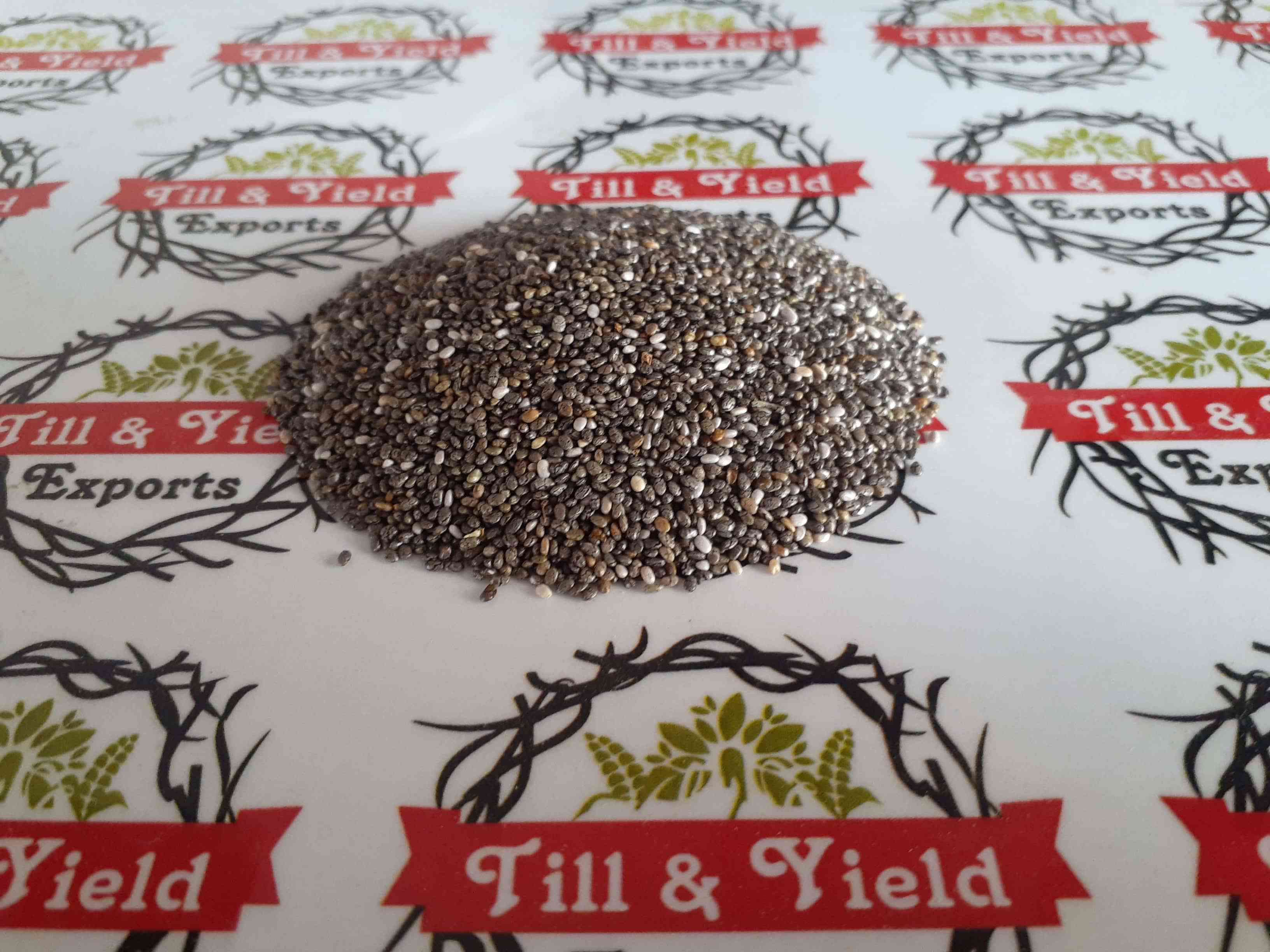 Chia Seed - Salvia Hispanica Seed  Nanda Baguli Landa Baguli sabja seeds