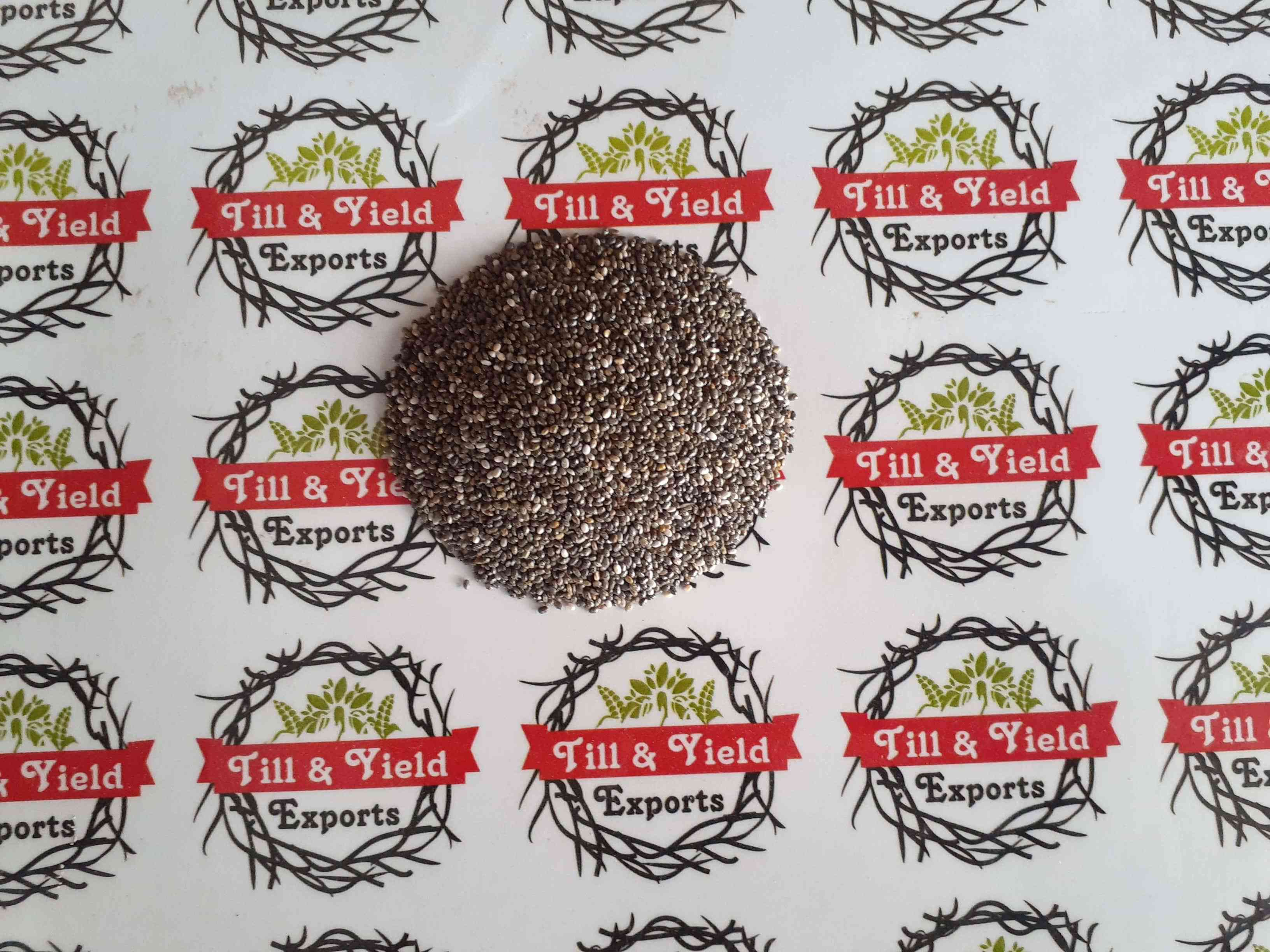 Chia Seed - Salvia Hispanica Seed  Nanda Baguli Landa Baguli sabja seeds