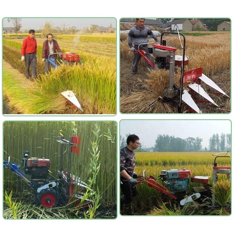 China grand hemp raspberry dry soybeans lake weed cotton sweet corn silage picker walking tractor harvester price for sugar beet