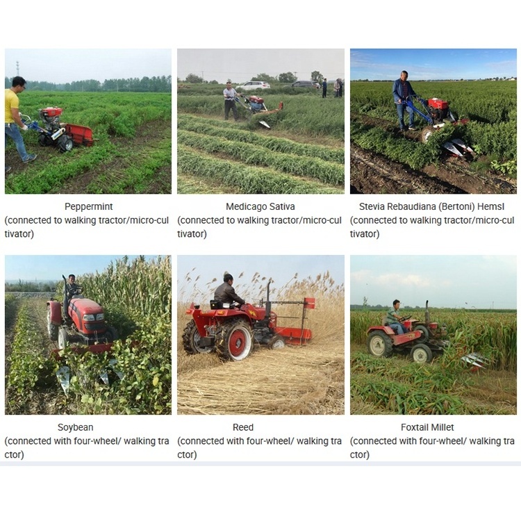 China grand hemp raspberry dry soybeans lake weed cotton sweet corn silage picker walking tractor harvester price for sugar beet