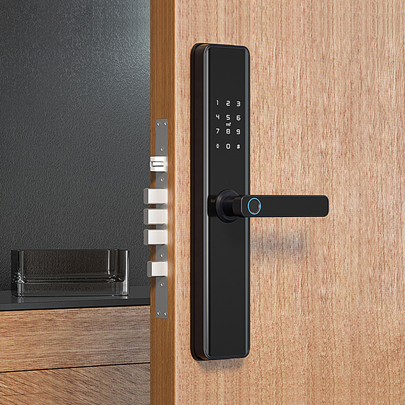 Keyless Door Finger Fingerprint Entry Electric Ttlock Smart  Gate Locks Wifi Home Intelligent Lock