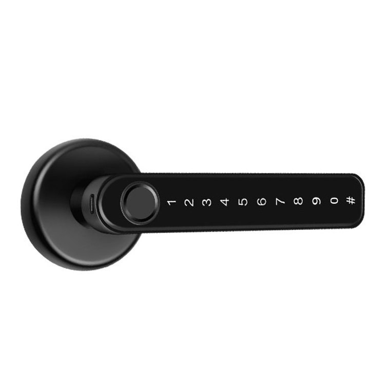 TTlock App Inteligente Entry Biometric Digital Bedroom Gate Handle Tuya Smart Password Finger Print Code Room Home Door Lock